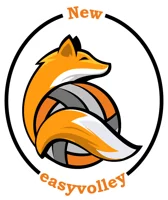 EasyVolley